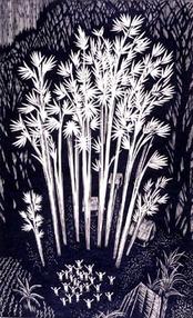 Archival exhibition image 03 — Richard V. Correll exhibition