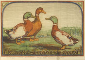 Rumor, 1943 — Women Printmakers exhibition